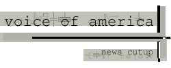 voice of america news cutup